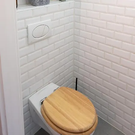 Central Szeged Apartment شقة *