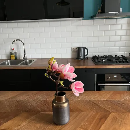 شقة Central Szeged Apartment *